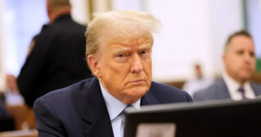 Exclusive -- Karoline Leavitt: Democrats Want Trump 'Confined to a Courtroom'