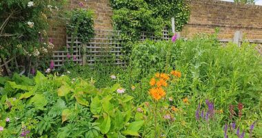 A garden with plants and various coloured flowers in sunshine below the blue sky (stock image)