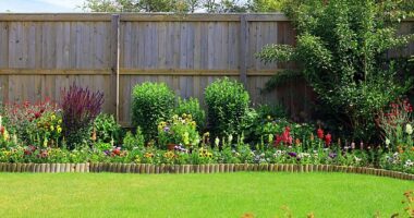 A colourful pretty flower and shrub border surrounded by a fence and a green lawn (stock image)