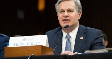 FBI to warn Congress about possible ‘organised attack’ in US after Russian concert hall shooting