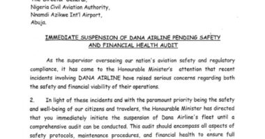 FG grounds Dana airline over safety concerns