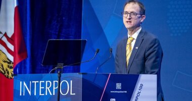 Graeme Biggar (pictured) said US firms such as Meta – the owner of Facebook, Instagram and WhatsApp – have 'consciously blinded themselves' to serious crimes