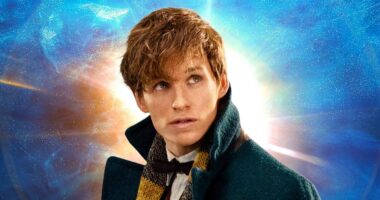 'Fantastic Beasts' – Why the Harry Potter Prequel Saga Failed