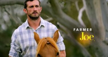 Farmer Wants A Wife star Joe Bobbin (pictured) has clapped back against shock claims he is a 'fake farmer' who operates on a fly-in-fly-out basis