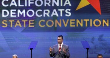 Felony-Convicted Political Consultant Under House Arrest, Votes on Democrat Party Endorsements – RedState