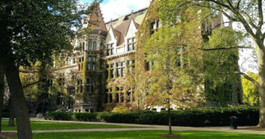 Female Univ of Chicago Student Wrestles Gun Magazine from Armed Robber