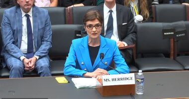 Former CBS reporter Catherine Herridge testified Thursday about how she faces federal prosecution for protecting the sources behind a 2017 investigative series