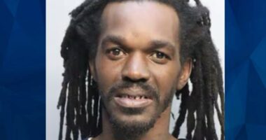 Florida Man Beats Girlfriend’s 5-Year-Old for Watching ‘PAW Patrol’: Police