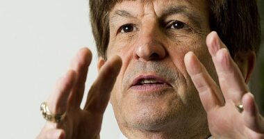 A historian who has correctly predicted every presidential election since 1984 has declared that 'a lot would have to go wrong' for Joe Biden to lose to Donald Trump - in November