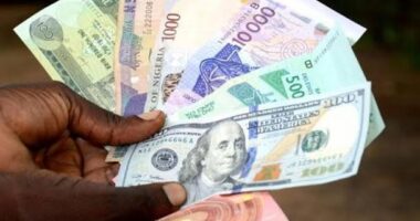 Forex inflows rise to $3.7b, its highest level in 5 years