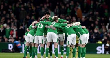 An ex-Chelsea and Spurs player dismissed claims that he could become Ireland manager