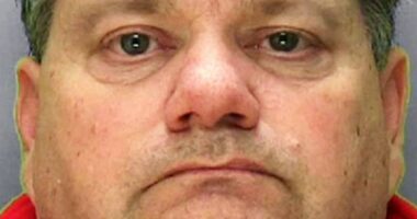 Serial liar Carl 'Nick' Beech (pictured) concocted lies about the existence of a murderous VIP paedophile ring at the heart of British government