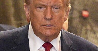 Former Trump aides Mark Meadows and Rudy Giuliani and GOP boss in charge of electoral integrity are among 18 indicted by Arizona grand jury 'for trying to overthrown 2020 election result'