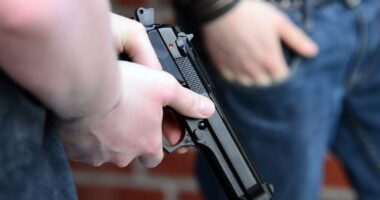 GOP-Led State Senate Approves Legislation That Allows Teachers To Carry Concealed Handguns On School Grounds
