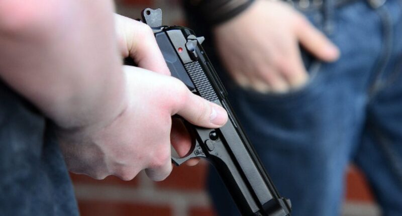 GOP-Led State Senate Approves Legislation That Allows Teachers To Carry Concealed Handguns On School Grounds