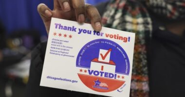 GOP to Step Up Poll Watching in November, 'Thousands of Lawyers' Will Be Present – RedState