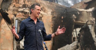 Gavin Newsom Asked the Internet to Submit Designs for a New Coin Honoring CA's Innovations, and Hoo Boy.. – RedState