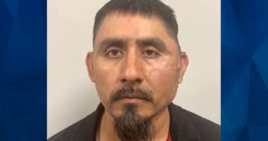 Georgia Man Murders His Young Children in Car Fire During Fight With Wife