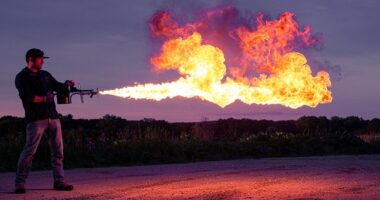 Giant 50-Foot Snake Found in India. Upside: It's Extinct. – RedState