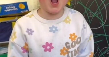 This is the mind-blowing moment a toddler roared - and sounded like a real life lion (pictured: Riley Scott on TikTok)