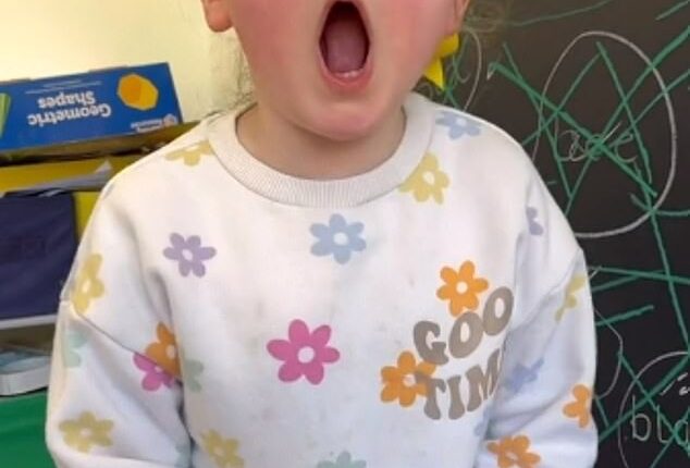 This is the mind-blowing moment a toddler roared - and sounded like a real life lion (pictured: Riley Scott on TikTok)