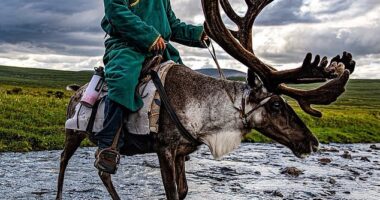 A globetrotting cattle rancher who goes by the name 'The Lost Cowboy' has traveled across six continents to prove that you can wrangle cattle anywhere on planet earth