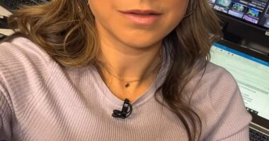 Good Morning America meteorologist Ginger Zee told her fans she's 'grateful to be safe' after her car was broken into in Oakland, California