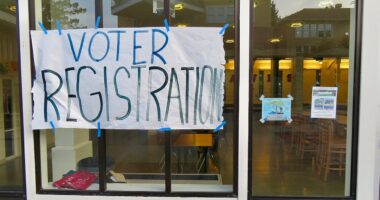 Voter registration sign in window