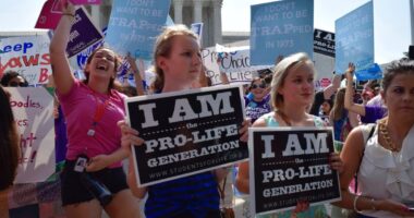 Government-Funded Database Labels Pro-Lifers As 'Terrorists'