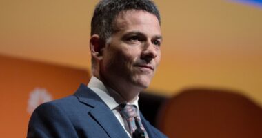 Greenlight’s David Einhorn pitches ‘boring essential-chemicals business’ Solvay