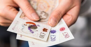 Handing over notes and coins causes 20 per cent more psychological pain than using cards, research suggests