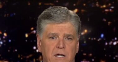 Hannity: 'Biden Plans to Lie, Smear, Slander, Besmirch His Way into a Second Term'