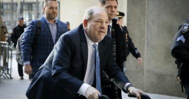 Harvey Weinstein 2020 Rape Conviction Overturned by NY Appeals Court – RedState