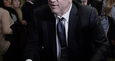 Harvey Weinstein wept 'tears of joy' over the news his New York rape and sexual assault convictions had been overturned. Pictured: Weinstein at his trial in 2020