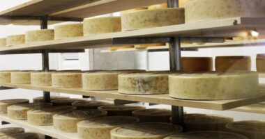 Hello, Wisconsin! Cheeseheads Seem to Be Waking Up
