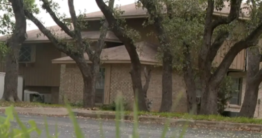 Homeowners confront squatter as he climbs through a window
