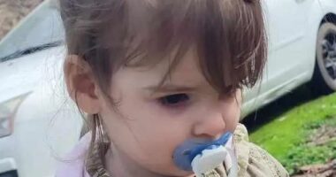 Danka Ilic, two, (pictured) who became known as 'the girl with the pacifier', vanished on March 26 in the eastern city of Bor while she was with her mother. She died after being hit by a car and her body was dumped in a landfill by the people in the vehicle