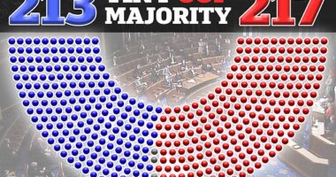 House Republicans' already slim majority shrinks after Wisconsin member resigns following passage of foreign aid bill: GOP can now only afford to lose ONE vote to defeat Democrats