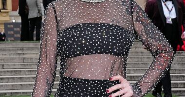The actress, 42, wore a sheer black dress by Rebecca Vallance as she posed outside the famous concert hall, with her body art on display on her leg