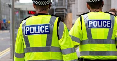 Now, the Police Federation of England and Wales has called for a royal commission to investigate the sentencing practices of judges and magistrates