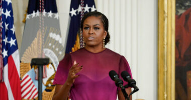 Hypothetical Matchup Poll: Michelle Obama Trails Trump by Same Margin Biden Does