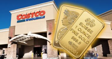 I bought an air fryer from Costco. Should I now buy gold? 