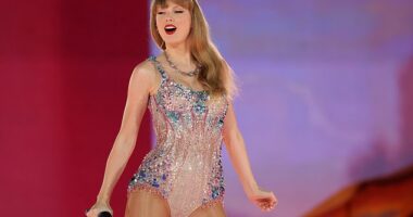 Senator Chris Coons is turning up the heat on Taylor Swift to get back into politics, saying he hopes the mega-star endorses Joe Biden 's reelection