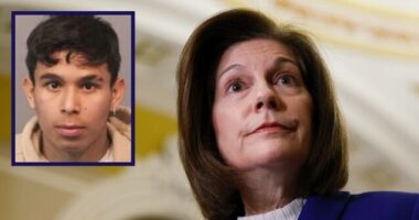 Illegal Alien Accused of Killing Adviser to Democrat Catherine Cortez Masto