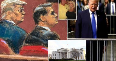 The 12 members of the jury and their six alternates sat rapt with attention. For 45 minutes they listened to the lead prosecutor lay out the case against former President Donald Trump . Matthew Colangelo delivered all the drama of a B-movie plot as he took them on a wild ride from a shady Trump Tower 'catch and kill' meeting to the extraordinary image of President Trump paying a loyal fixer by signing checks inside the White House , with a cast that included muckraking journalists, a now-disbarred lawyer who recorded his phone calls and Stormy Daniels.