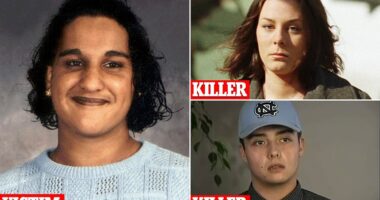 A new crime drama series that delves deeper into the harrowing true story of a 14-year-old girl who was callously killed by her peers has launched on Hulu. Under The Bridge unravels the heart-wrenching tale of Reena Virk who was attacked by eight teenagers - seven girls and one boy - at a gathering in Saanich in British Columbia, Canada , in 1997. The series is based on the 2005 book of the same name by Rebecca Godfrey, which chronicled the heinous bullying and murder of 14-year-old Reena.