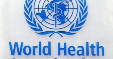 Introduced Legislation In GOP-Led State Would Declare WEF, WHO & UN Have No Power Within State, Resolution Encourages To Cease Funding The WHO