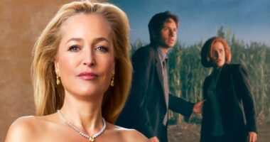 Is Gillian Anderson Up for an X Files Reboot?