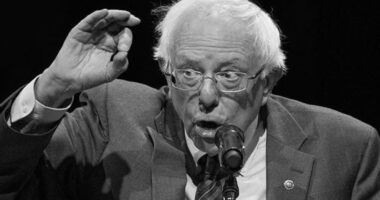 Is THIS Exactly How The Compromise Members of Congress?  (Warning: EXPLICIT)