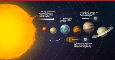 Scientists say that the solar system may one day be destroyed by the sun as it swallows up the Earth and grinds other bodies into dust. Luckily for us, scientists think there is another 6 billion years before this happens